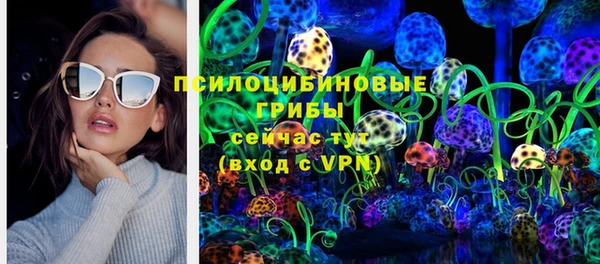 первитин Богданович