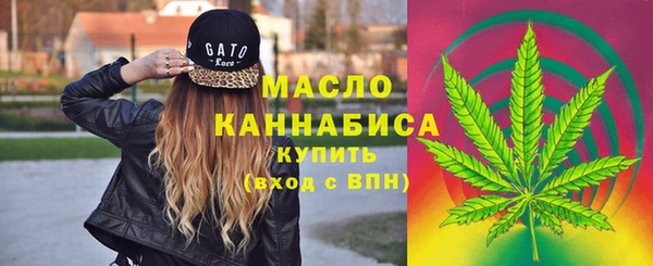 первитин Богданович