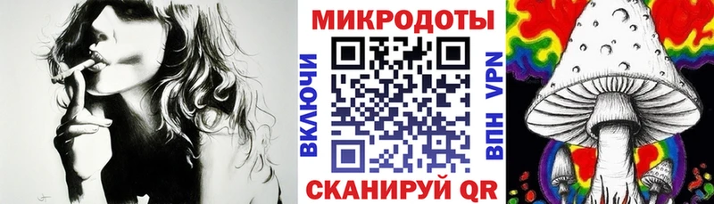 Галлюциногенные грибы Psilocybine cubensis Мурино