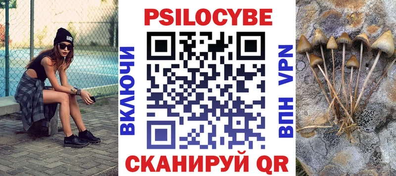 Псилоцибиновые грибы Psilocybe  даркнет сайт  Мурино 