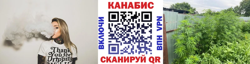 дарнет шоп  Мурино  Марихуана ГИДРОПОН 